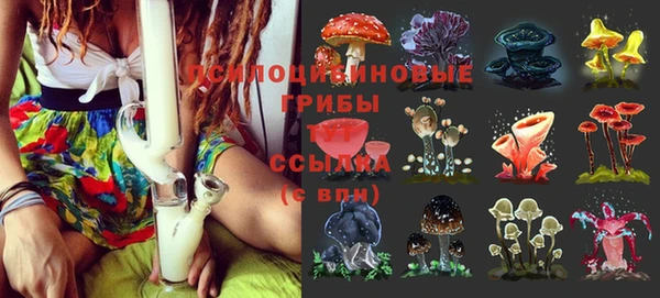 первитин Медногорск