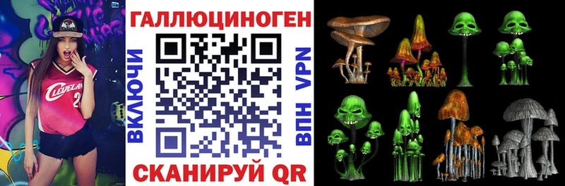 где продают   Новокузнецк  Галлюциногенные грибы мухоморы 
