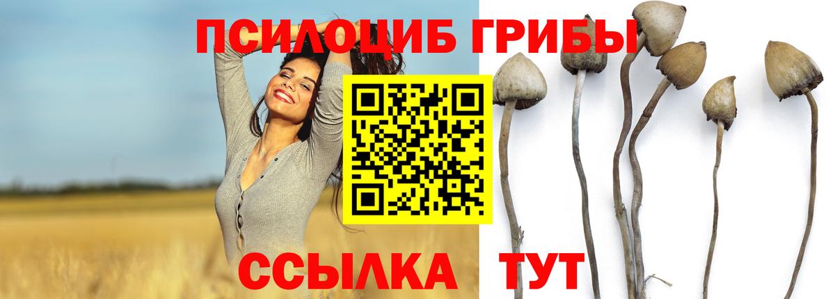 Новокузнецк  Псилоцибиновые грибы прущие грибы  Вход с VPN 